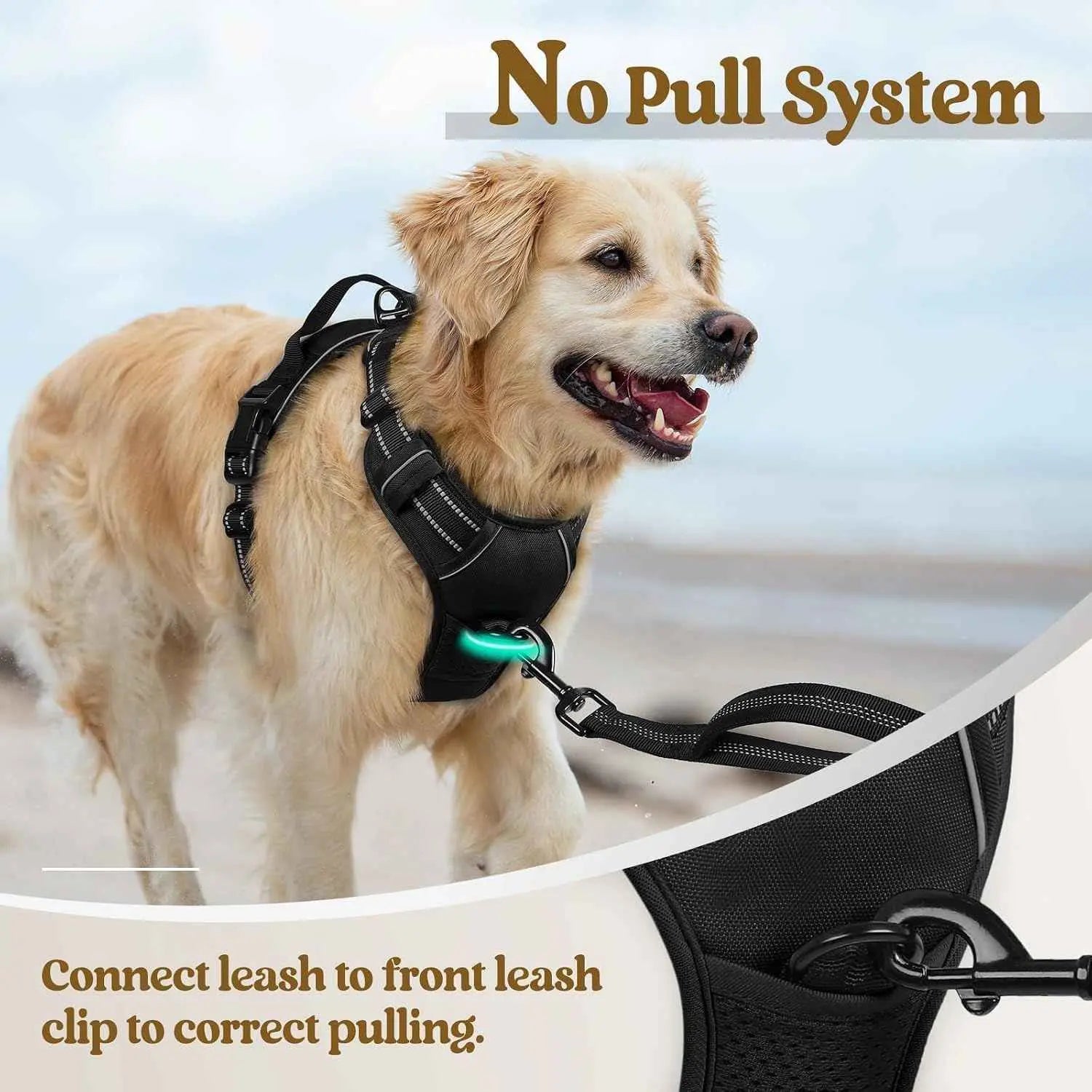Adjustable Dog Harness for Outdoor Adventures – Comfort & Safety for All Dog Sizes