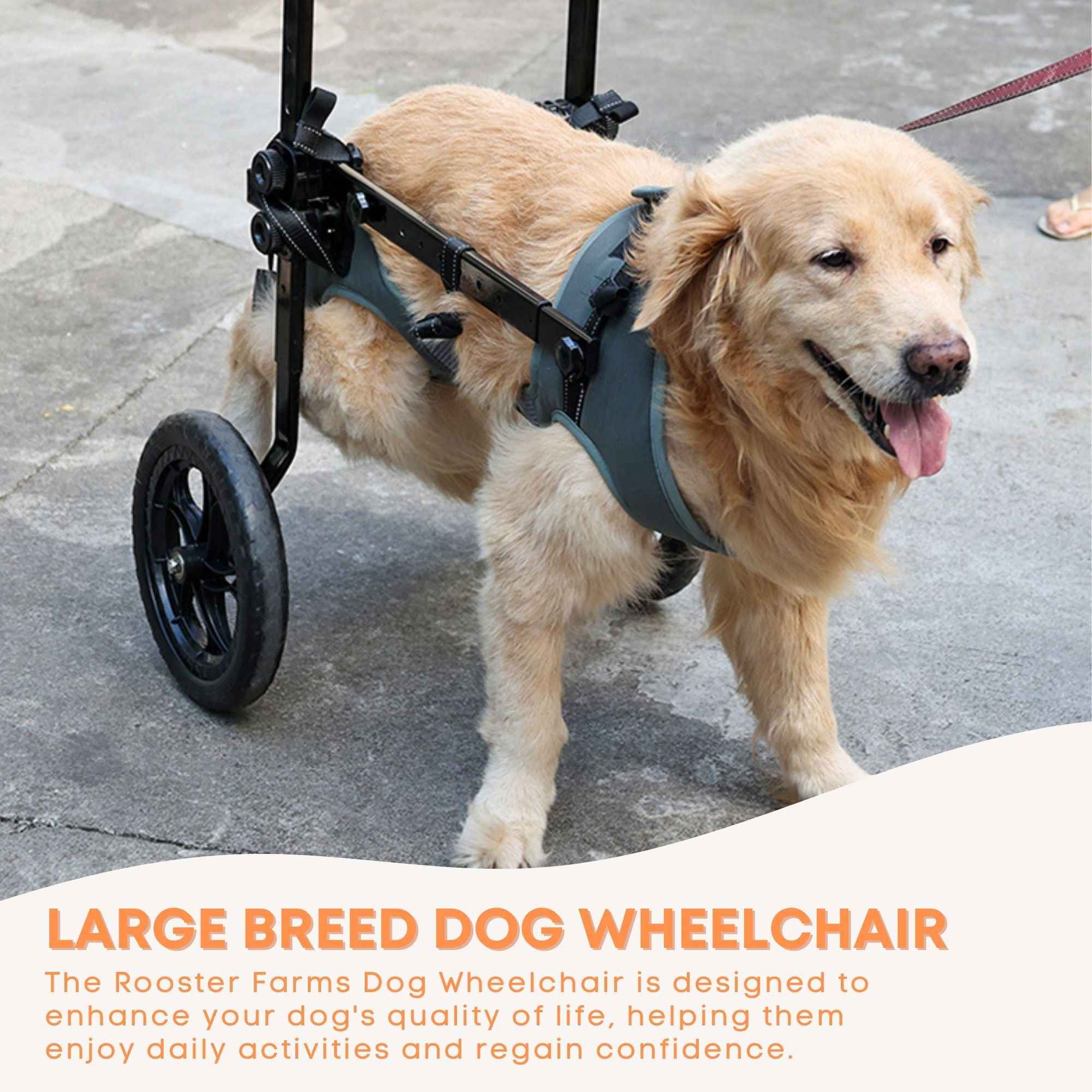 Rooster Farms Large Dog Wheelchair XL Harness - Adjustable Back Leg Aid