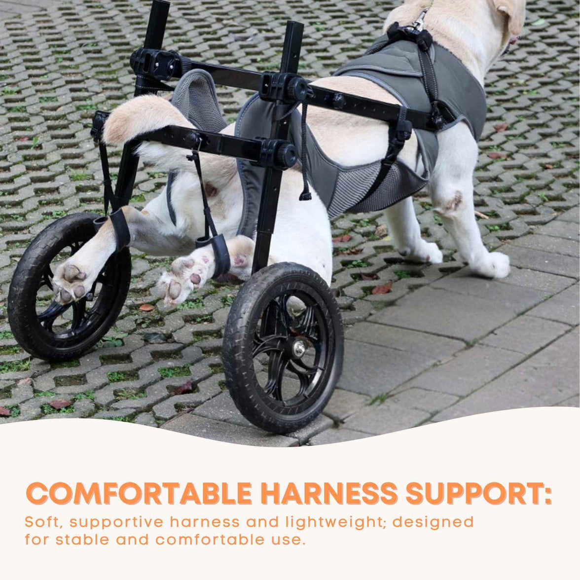 Rooster Farms Large Dog Wheelchair XL Harness - Adjustable Back Leg Aid